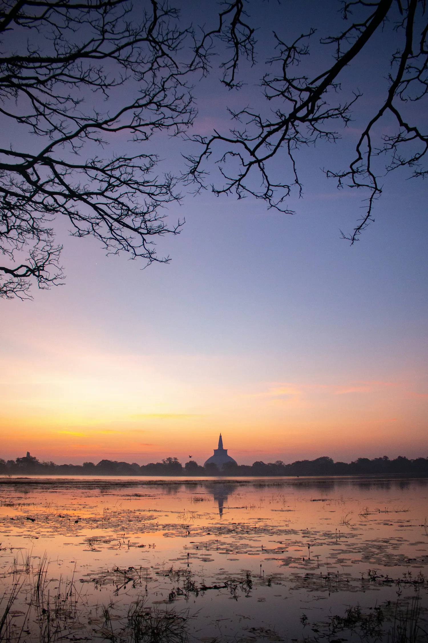 Ancient stupa rising above the sacred city of Anuradhapura at sunset