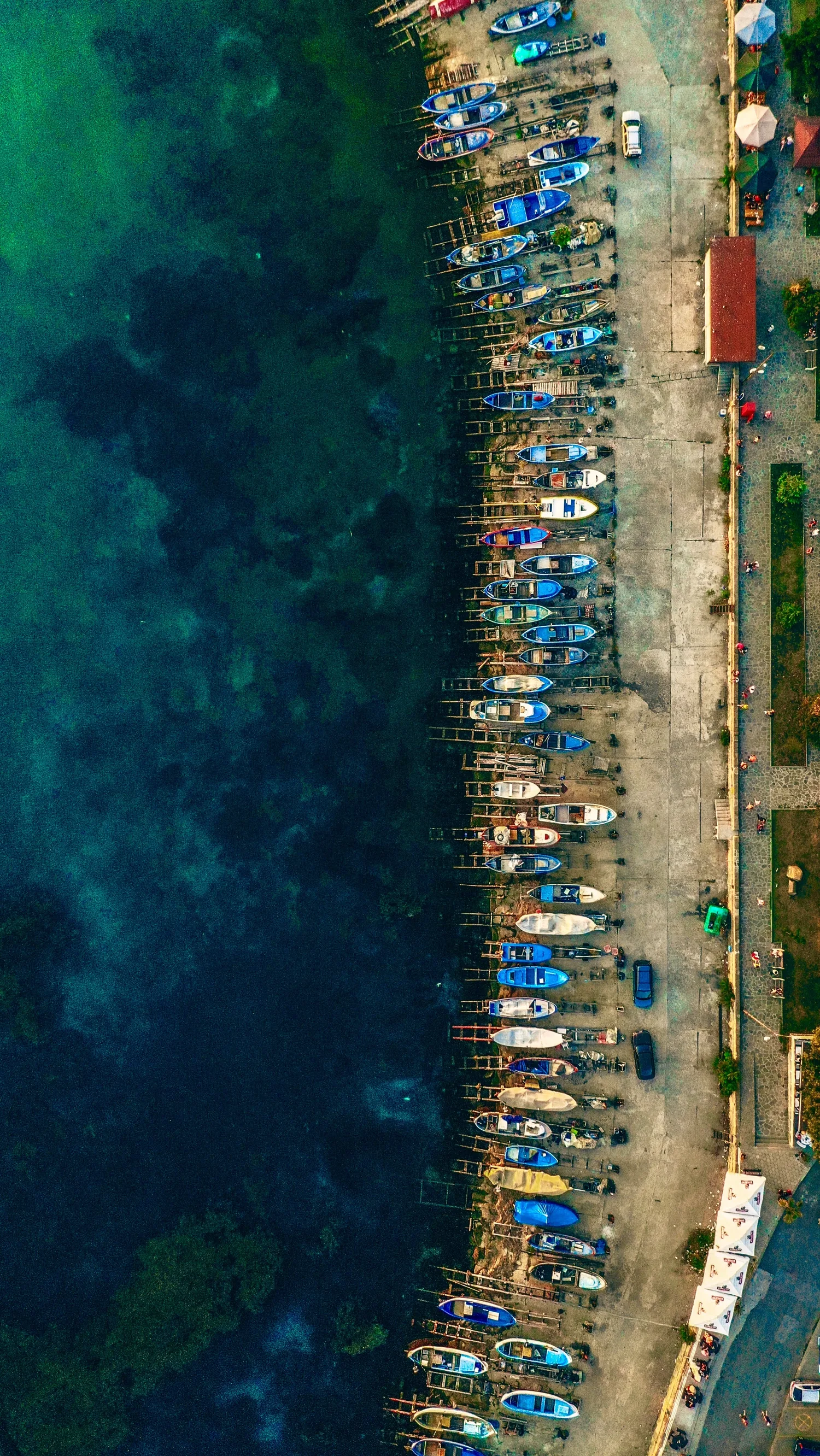 Colourful boats lined along clear coastal water