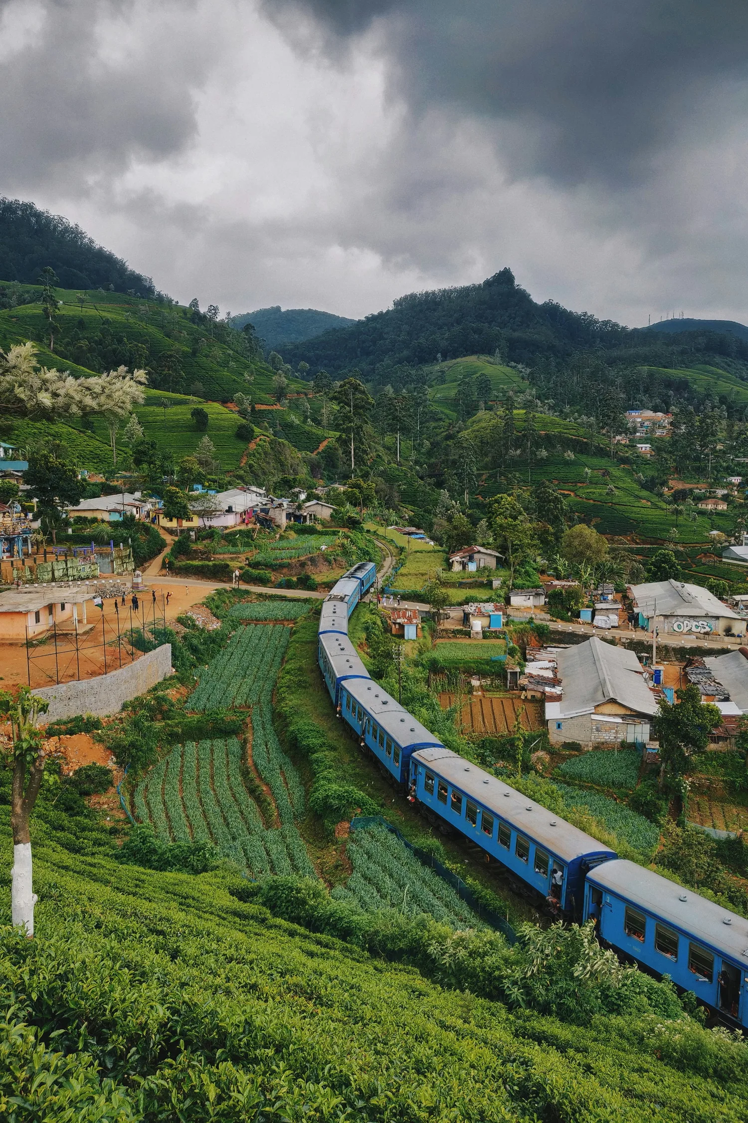 Blue train winding through Sri Lanka's green tea highlands