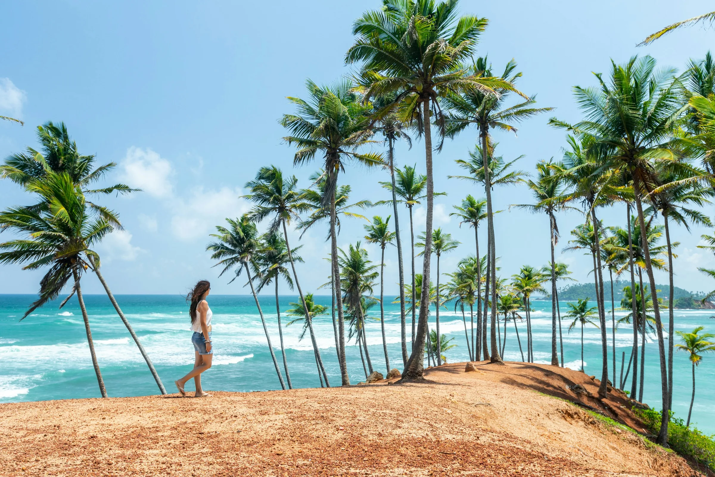 Traveller beside a palm-lined Sri Lankan coast