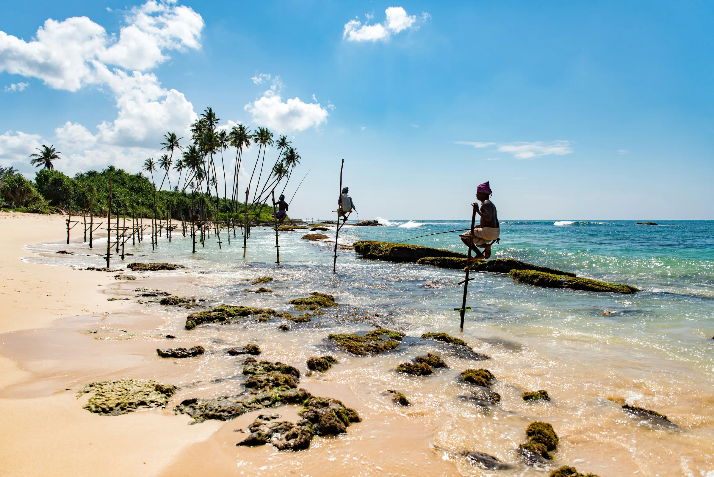 Traditional stilt fishermen along Sri Lanka's southern coast