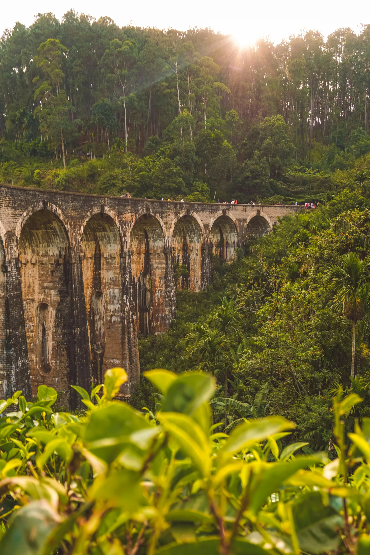 Nine Arch Bridge surrounded by forest in Ella